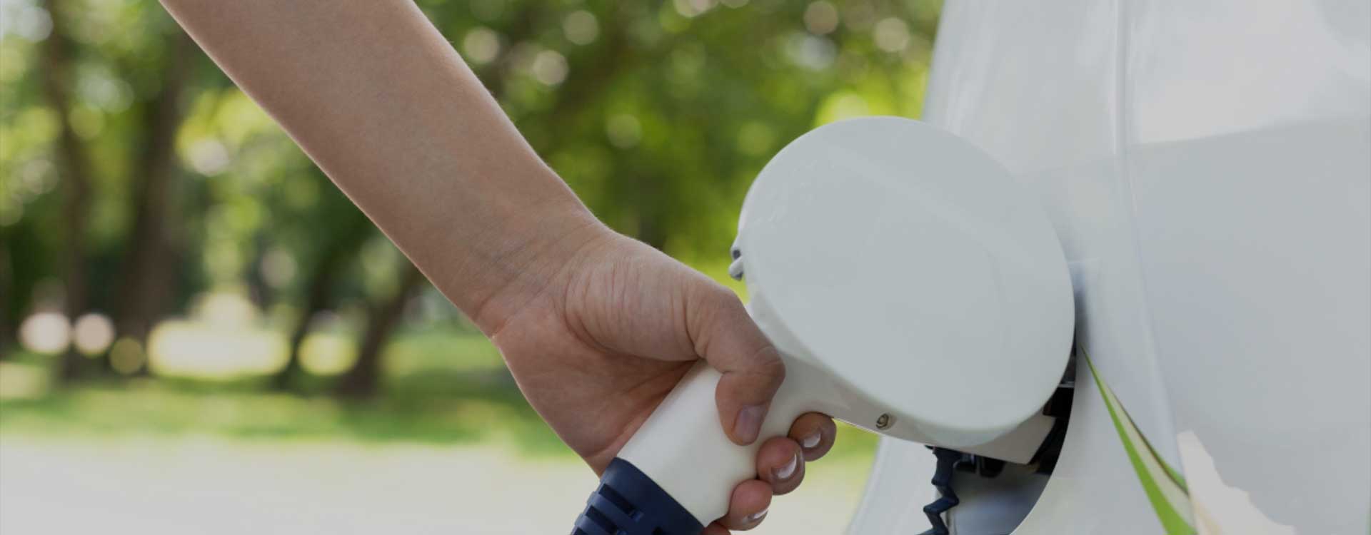 Toptan lityum pil ve normal pil arasındaki farklar nedir?