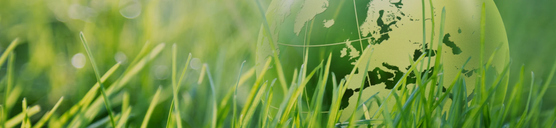 Lityum depolama enerjinizi sürdürülebilir lityum iyon pillere geçişi